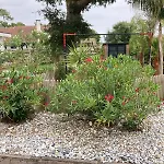 Bord De 400 M De La