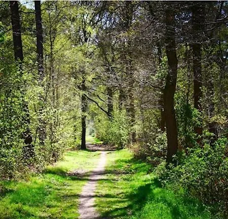 Bord De 400 M De La 拉本讷