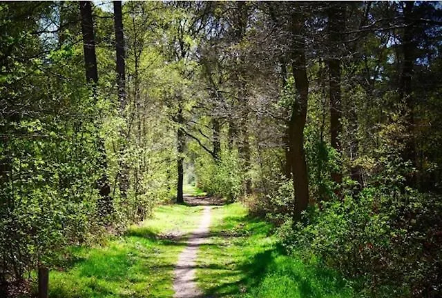 Bord De 400 M De La Labenne